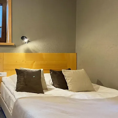 Alpini Apartament